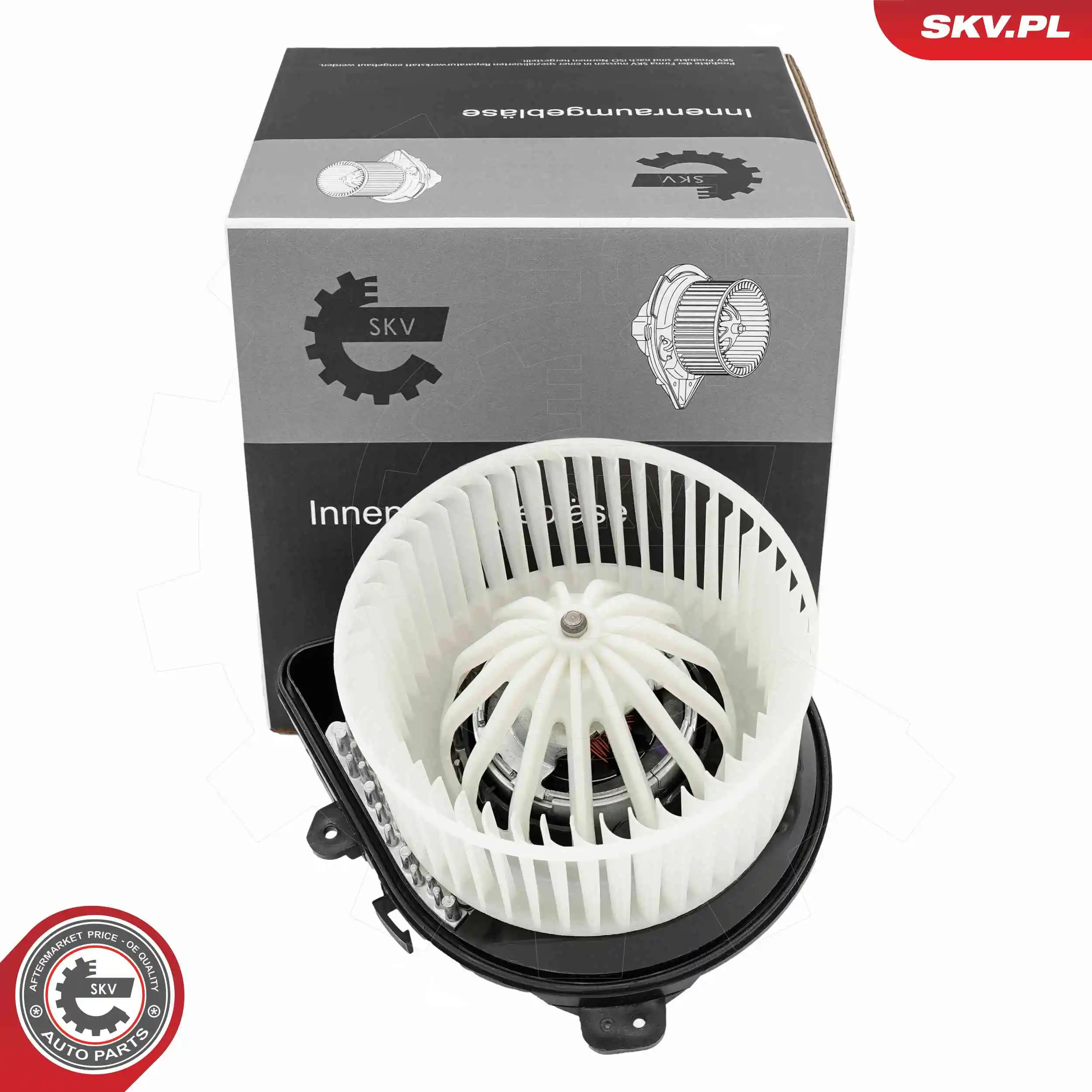Interior Blower